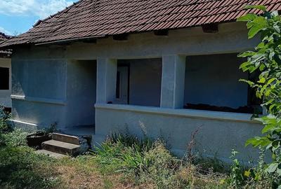 Casă cu Teren 1700 Mp în Central