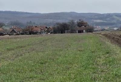 Teren Construcții intravilan de 2660 mp, în Vadu Crișului - 2