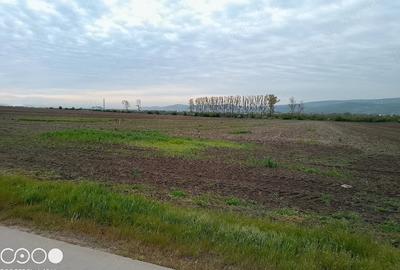 Teren de 5000 mp, în Dancu - 9