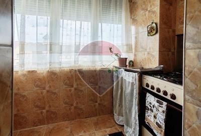 Apartament cu 3 camere semidecomandat, mobilat în Rogerius - 5