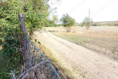 Casă cu Teren 1151 Mp în Ciuchici