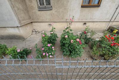 Apartament cu 3 camere decomandat în Central - 14