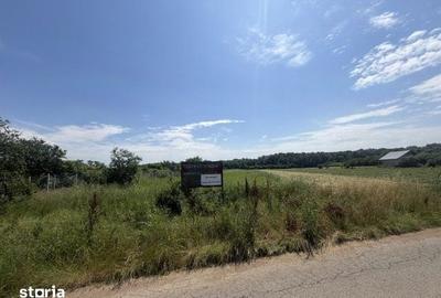 Teren de 8300 mp, în Gruiu - 13