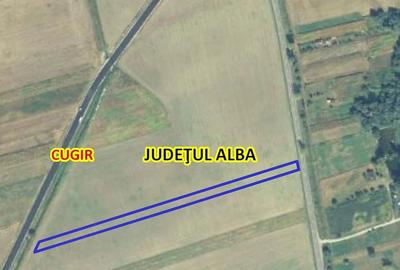 Teren de 3800 mp, în Vinerea