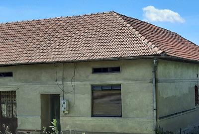 Casă cu 5 camere cu Teren 1600 Mp în Zorlențu Mare - 1