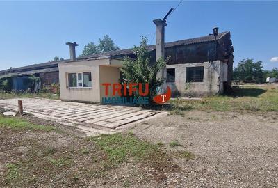 Spațiu industrial, de 2,800 mp, în Bărăbanț