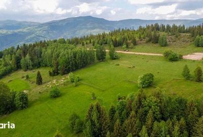Teren de 11000 mp, în Albac