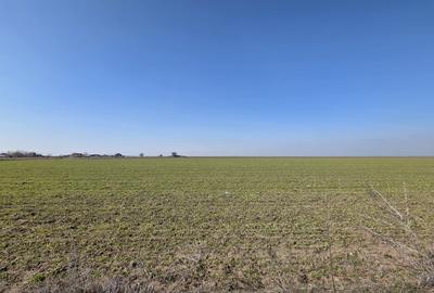Teren agricol intravilan de 500 mp, în Corbu - 4