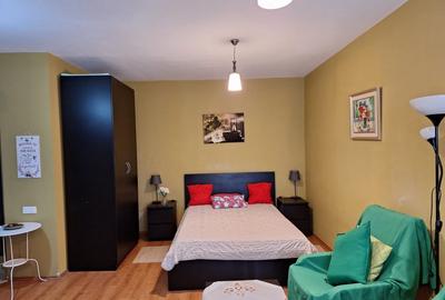 Garsonieră semidecomandată, mobilată în Doamna Ghica - 1