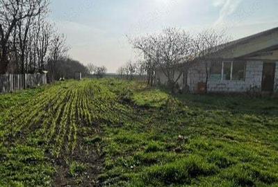Teren de 5000 mp, în Central - 3