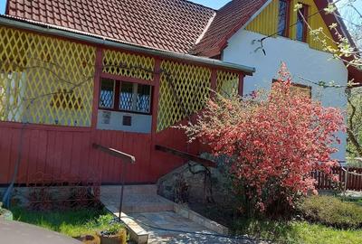 Casă cu 3 camere cu Teren 4000 Mp în Zimbor - 1