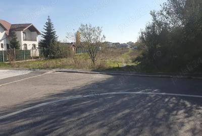 Teren de 3666 mp, în Cornetu - 4
