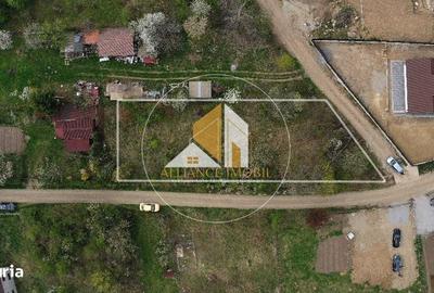 Spațiu comercial, în Central