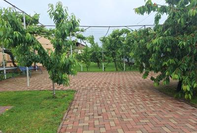 Casă cu 4 camere în Faraoani - 7