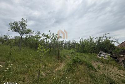 Teren de 4973 mp, în Dâmbul Rotund