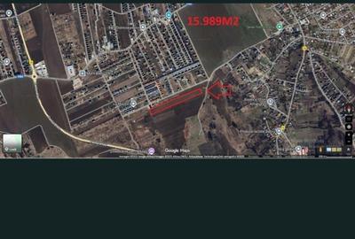 Teren de 16000 mp, în Miroslava