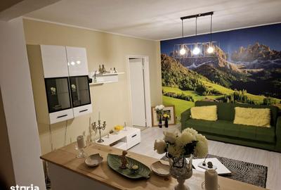 Apartament cu 2 camere semidecomandat, mobilat în Craiovei - 12