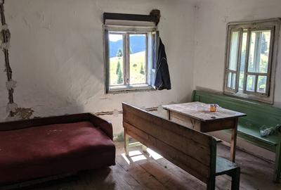 Casă cu 3 camere în Horea