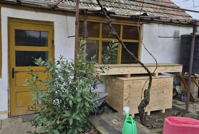 Casă cu 2 camere cu Teren 830 Mp în Central