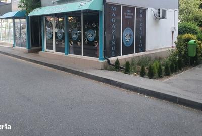 Spațiu comercial, de 190 mp, în Aleea Trandafirilor - 3