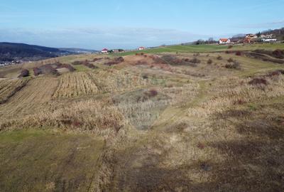 Teren agricol extravilan de 68403 mp, în Popești - 14