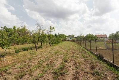 Casă cu 4 camere cu Teren 1672 Mp în Tămășeu - 5