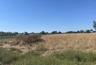 Teren agricol intravilan de 4000 mp, în Roseți