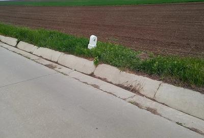 Teren de 5000 mp, în Dancu - 10