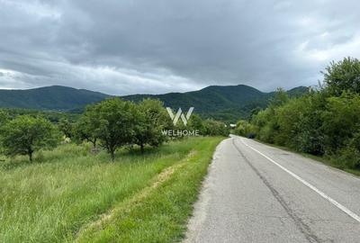 Teren agricol intravilan de 2100 mp, în Exterior Sud - 4