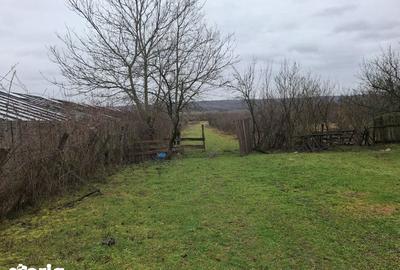 Teren de 5854 mp, în Tătărani - 7