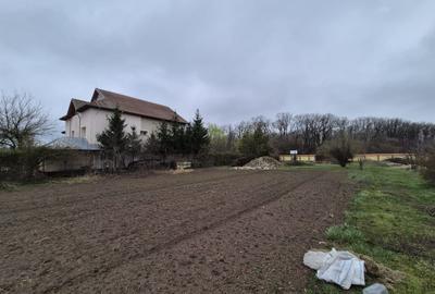 Teren în Tei - 3