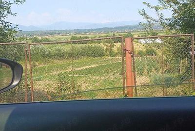 Teren de 1272 mp, în Coltău