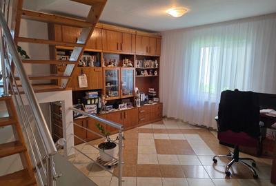 Casă individuală cu 5 camere cu Garaj în Nicolae Grigorescu - 10