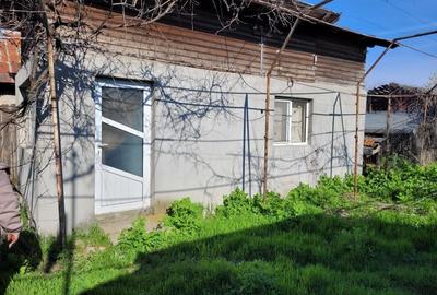 Casă cu 3 camere în Ezeni - 6