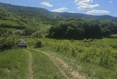 Teren de 765 mp, în Florești