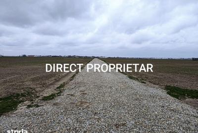 Teren de 9545 mp, în Berceni - 3