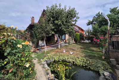 Casă individuală cu 4 camere cu Canalizare în Vladimirescu - 13