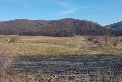 Teren de 40000 mp, în Balotești - 3