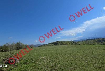 Teren de 2702 mp, în Vama Buzăului - 6