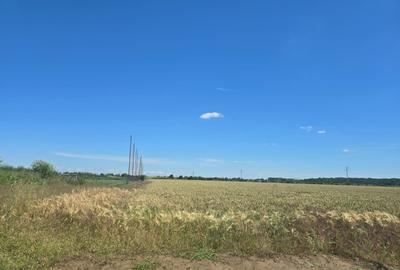 Teren intravilan de 6097 mp, în 1 Decembrie