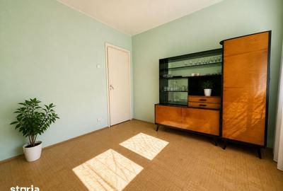 Apartament cu 2 camere semidecomandat în Rogerius