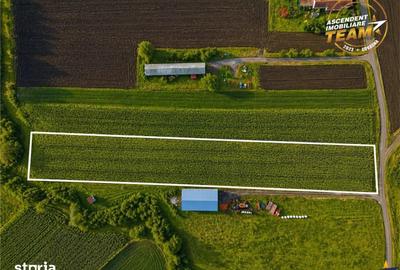 Teren de 5800 mp, în Ilieni - 1