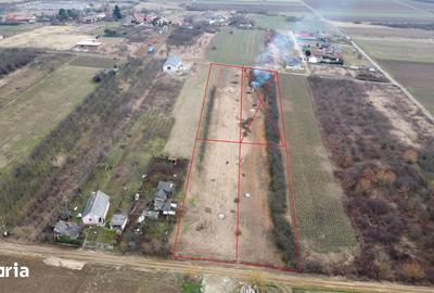 Teren de 2160 mp, în Viile Satu Mare - 6