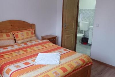 Hotel/Pensiune, de 16 mp, în Ciocănești - 6