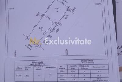 Spațiu comercial, în Bradu