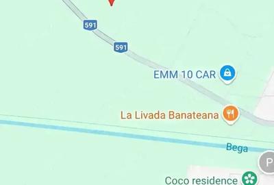 Teren de 12100 mp, în Sânmihaiu Român - 4
