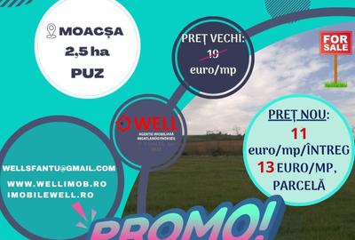 Teren agricol intravilan de 25000 mp, în Moacșa - 1