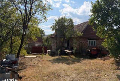 Casă cu 4 camere cu Teren 4436 Mp în Măgești