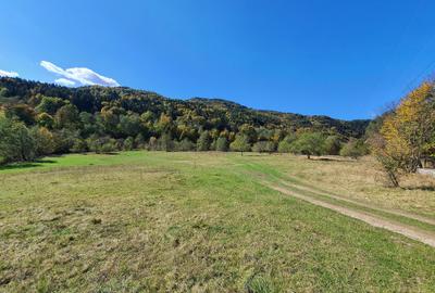 Teren agricol extravilan de 9000 mp, în Babarunca - 3
