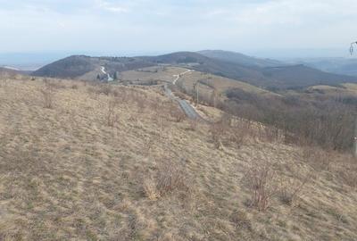 Teren de 3345 mp, în Vlădești